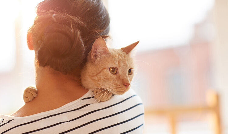 Back view portrait of young woman holding gorgeous ginger cat on shoulder, copy space
